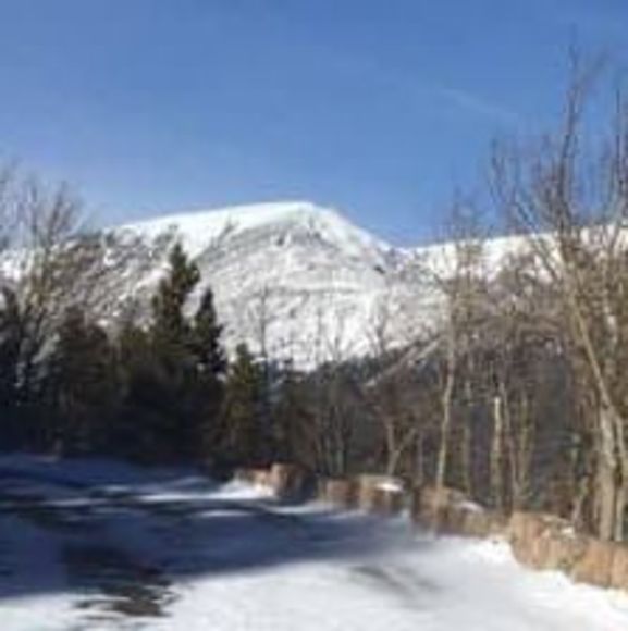 Meet your Posher, Meg - Picture 1 of 1